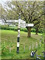 Direction Sign ? Signpost on Rowley Bank Lane, High Legh parish