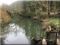 Sluice on the River Frome