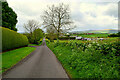 Knockmoyle Road, Rosnamuck