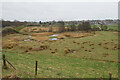 Avenue Washlands Nature Reserve