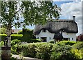 Thatched cottage in Wolvey