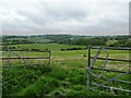 View from Church Lane, near Waltham