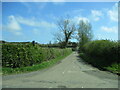 NU1925 : Access  road  to  South  Broomford  farm by Martin Dawes
