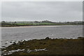 G1832 : Cloonaghmore River Estuary by N Chadwick