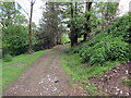 Llwybr Ffarm yr Ynys / Ynys Farm path