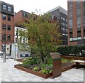 Manchester Peace Gardens