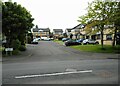 Houses on Castle Mains Road