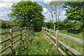 Footpath out to the B4525