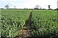 Footpath to Marston