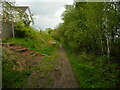 Muddy footpath