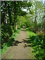 Footpath beside the railway