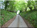 Lane towards Sidbury