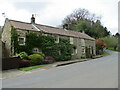 Cottages  in  Egton  Bridge