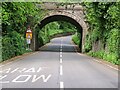 Baron Hill Bridge