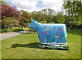 Heilan Coo, Forres