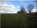 Public footpath north of Sheering (2)