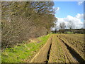 Public footpath east of Lower Sheering (3)