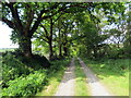 Llwybr ger Penwern Fach / A path near Penwern Fach