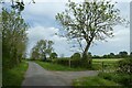 Bridleway beside Lendales Lane