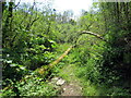 Llwybr ceffyl Pont y Cwm / Pont y Cwm bridleway