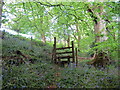 Llwybr yn Allt Banc-sina / Path at Allt Banc-sina