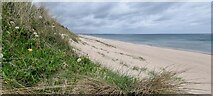 NZ2796 : Druridge Bay, Northumberland by Rebecca A Wills