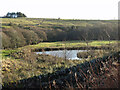 Pond in the valley of Rowley Burn