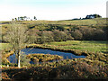 Pond in the valley of Rowley Burn (2)