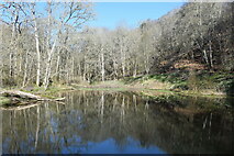 NH7358 : Reflections at Fairy Glen by Bill Harrison