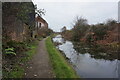 Walsall Canal towards Bentley Bridge