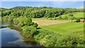 Seckley Wood and The Meadows