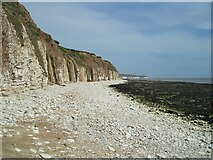 TA2068 : Sewerby Rocks and cliffs by JThomas