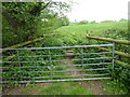 On the bridleway