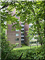 Grenville Court flats from College Road, Crystal Palace