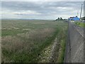 Saltmarsh and sea wall at Penclawdd