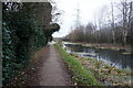 Walsall Canal towards Porketts Bridge