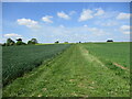 Footpath to Stoke Road