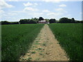 Bridleway to Wolves Farm