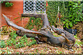 Dragon sculpture, Tudor Street Day Centre