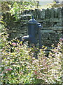 Water pump beside Caernarvon Road