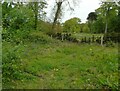 To the formal garden, Lytham Hall