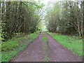 Track through strip of woodland giving access to fields