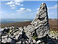 SO3698 : Part of Manstone Rock on the Stiperstones by Mat Fascione