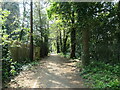 SU4613 : Woodland path to Thornhill Park Road, Southampton by Christine Johnstone