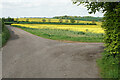 Farm tracks near Scarcliffe Grange