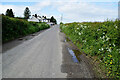 Muddy along Greenville Road