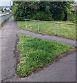 ST3091 : Unmown grass triangle, Malpas Road, Newport by Jaggery