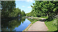 Birmingham Canal Navigations at Wolverhampton Locks