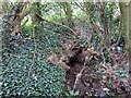 Lindley Moor, Greystone Beck