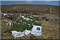 NC6934 : Saplings ready for planting in Strath Naver Forest, Sutherland by Andrew Tryon